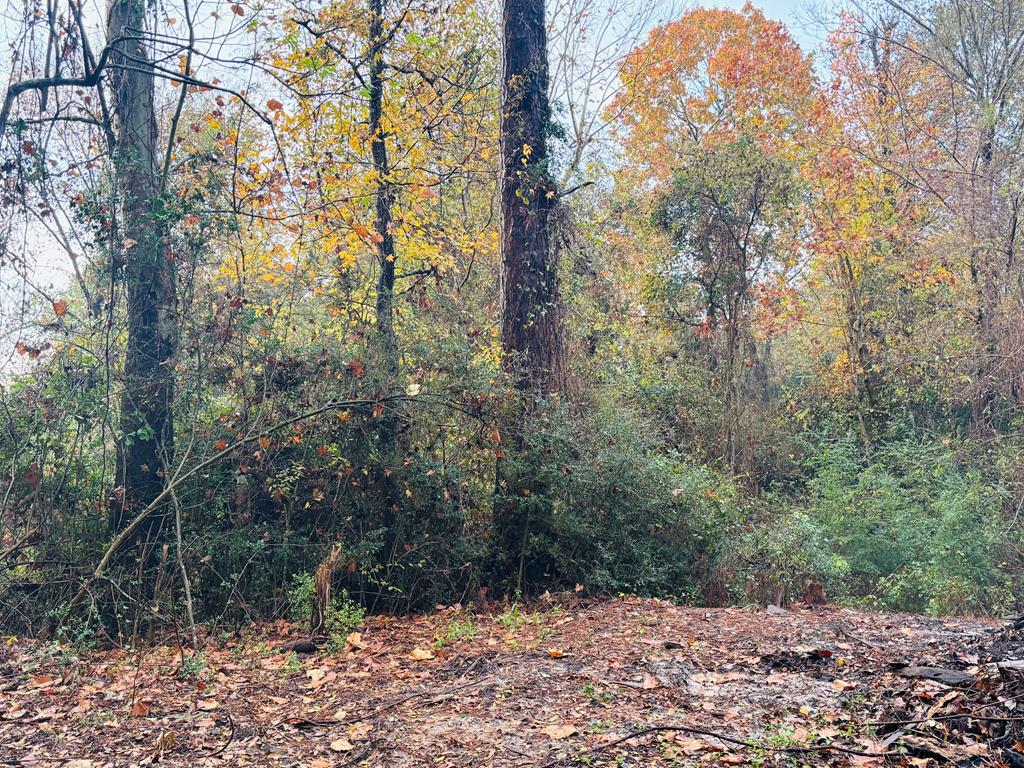 7484 State Hwy 94 Property Photo 27