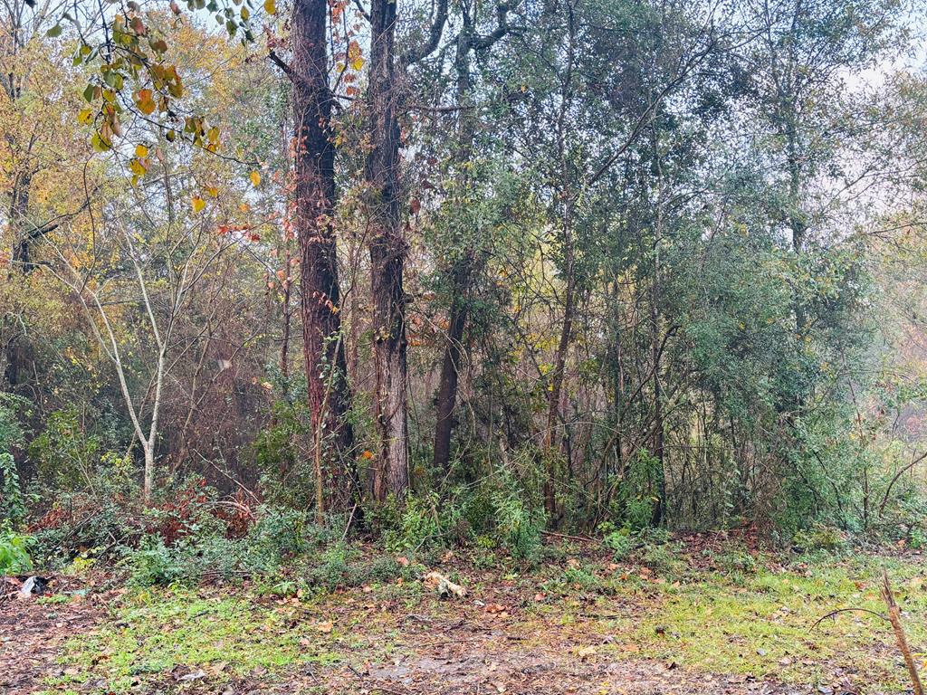 7484 State Hwy 94 Property Photo 28