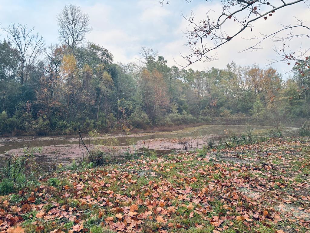 7484 State Hwy 94 Property Photo 29