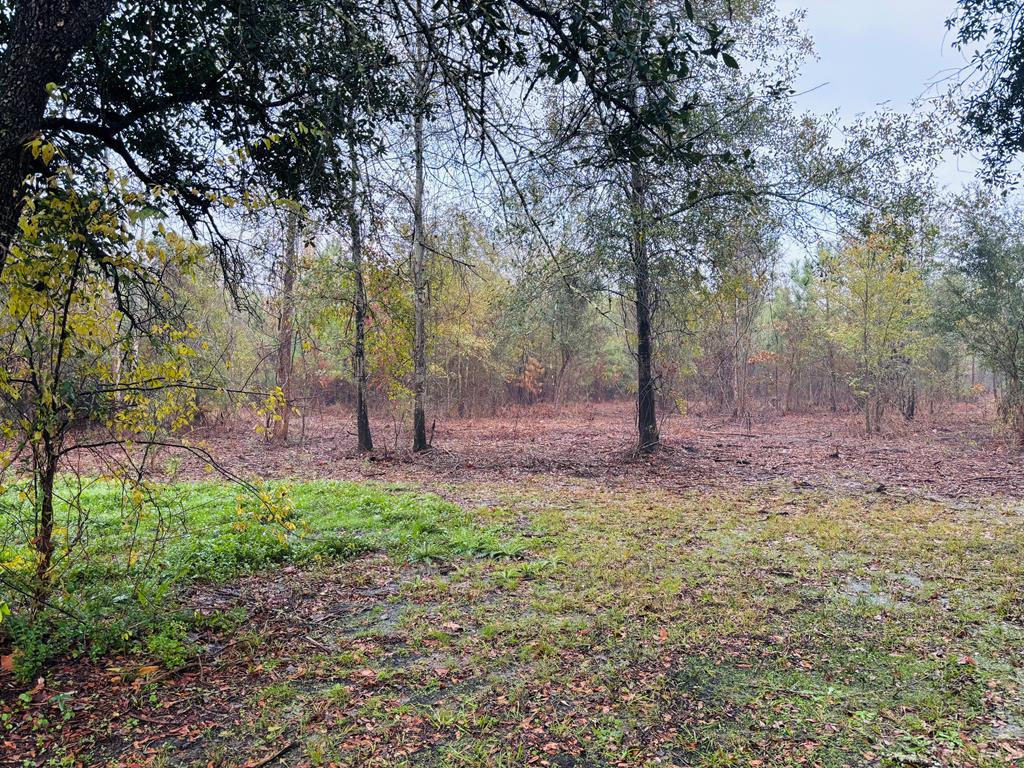 7484 State Hwy 94 Property Photo 30