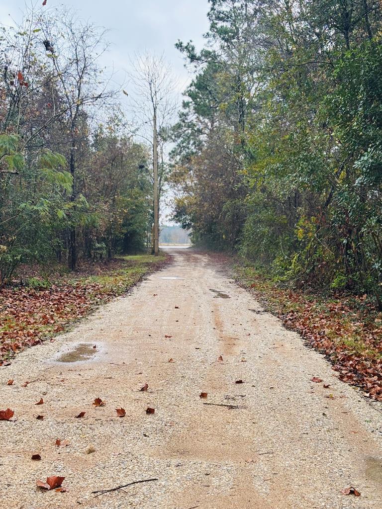 7484 State Hwy 94 Property Photo 32