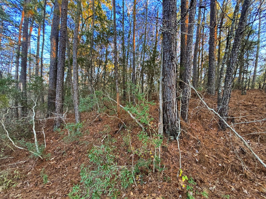 Pid #33284 Bogey Lane Property Photo 2