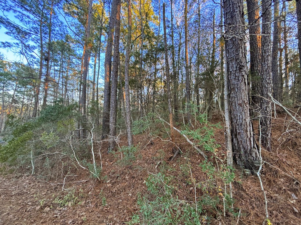 Pid #33284 Bogey Lane Property Photo 3