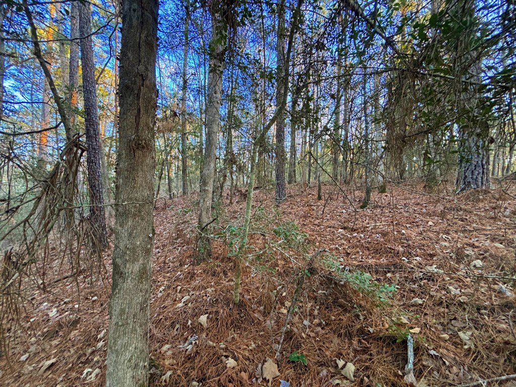 Pid #33284 Bogey Lane Property Photo 4