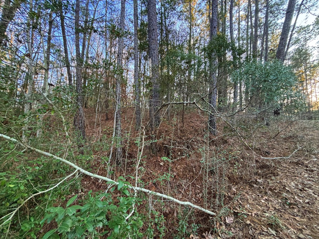 Pid #33284 Bogey Lane Property Photo 5
