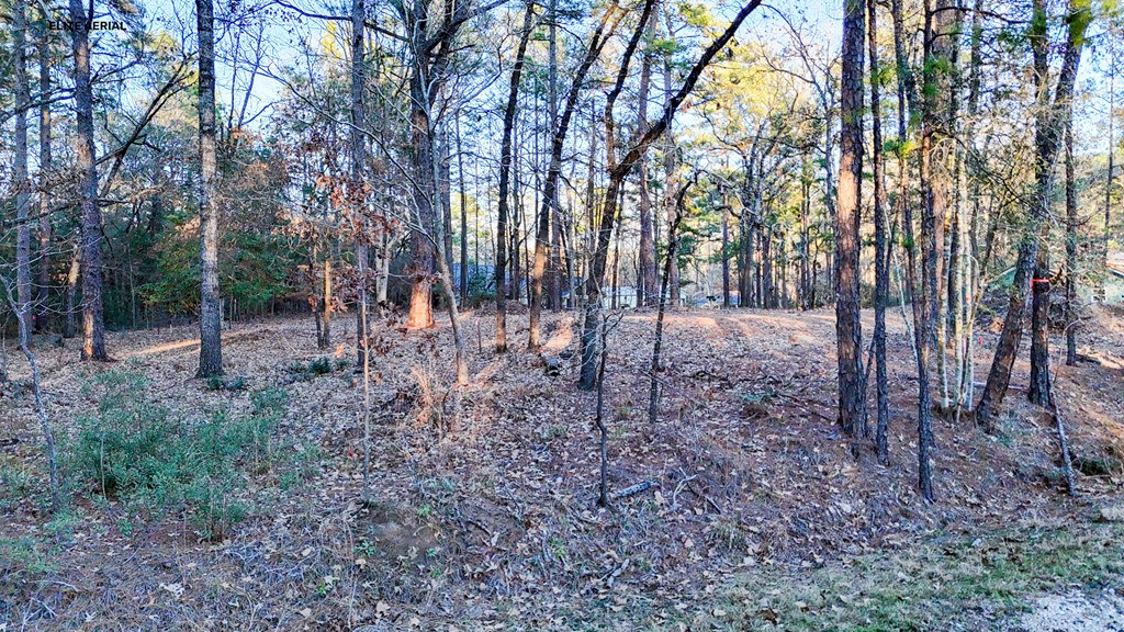 136 Ashcreek Lane Property Photo 2