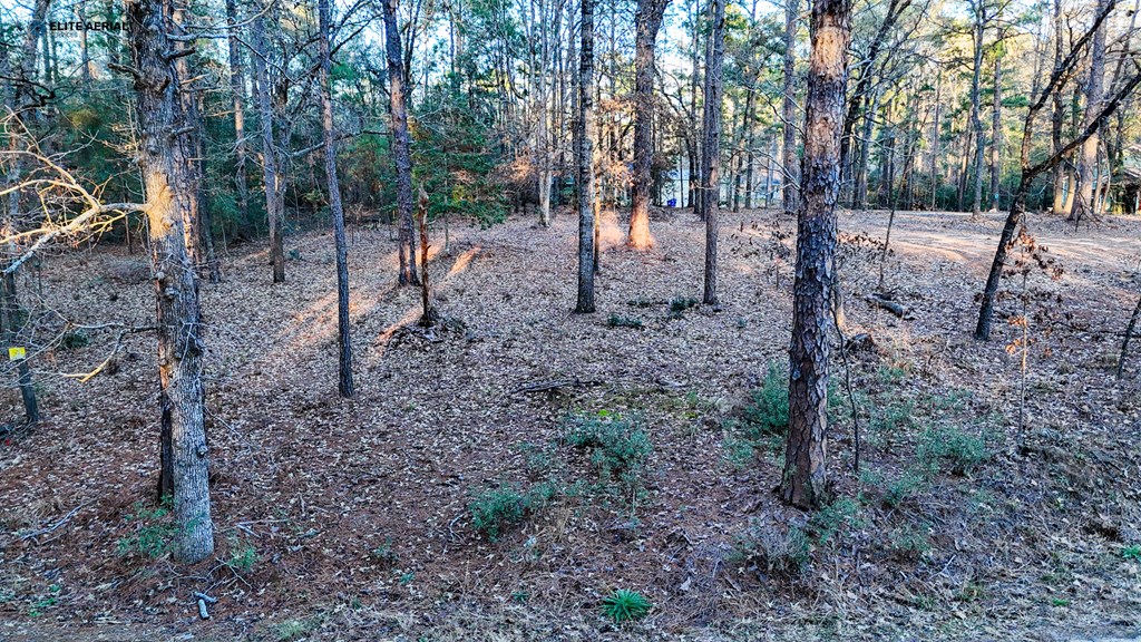 136 Ashcreek Lane Property Photo 3