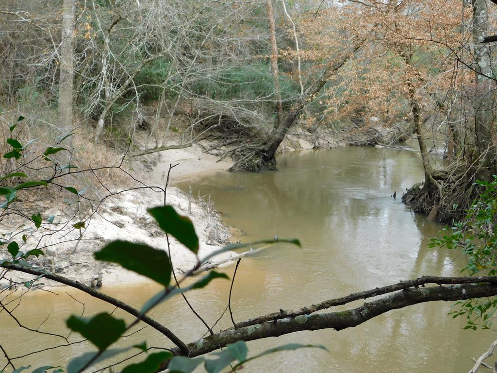 11270 Us Hwy 190 E Property Photo 1