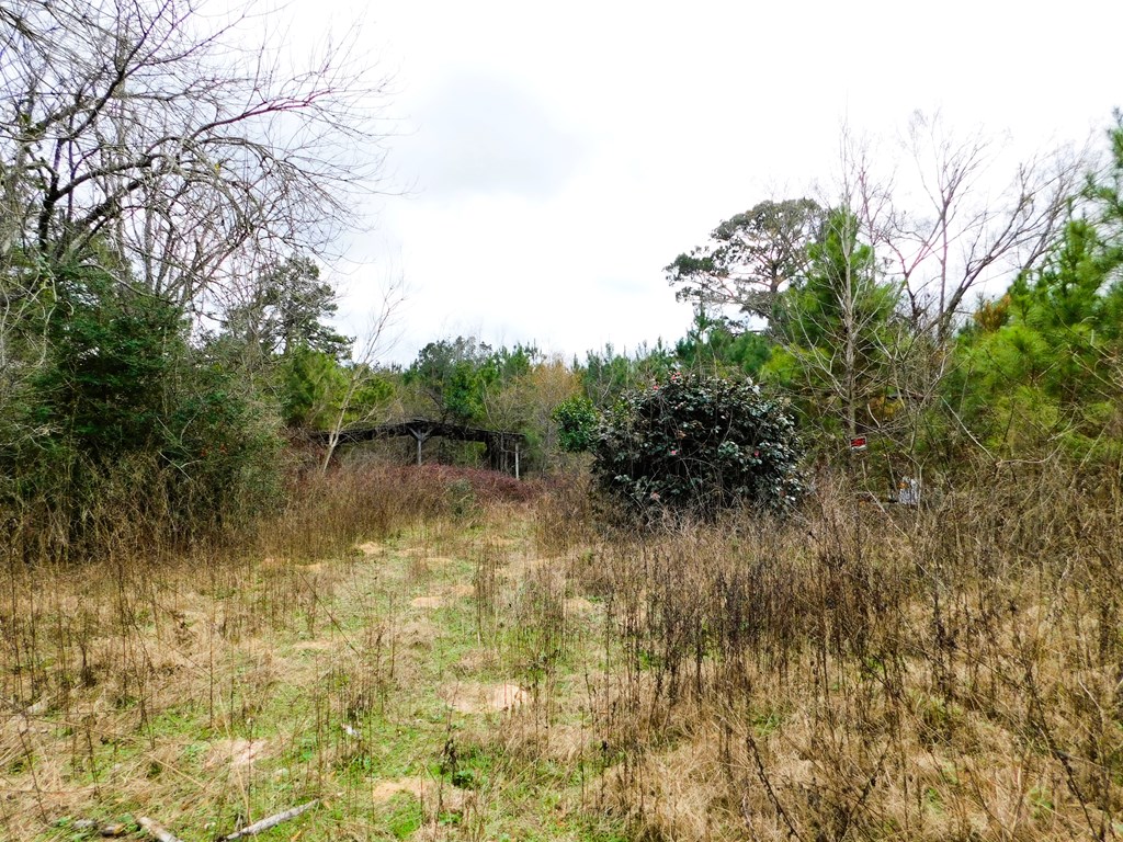 11270 Us Hwy 190 E Property Photo 2