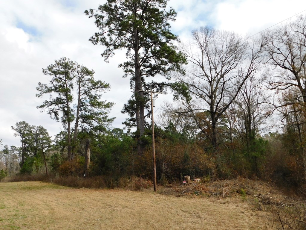 11270 Us Hwy 190 E Property Photo 3
