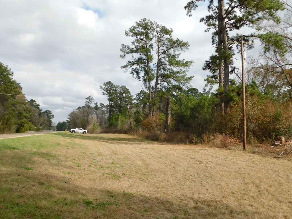 11270 Us Hwy 190 E Property Photo 5