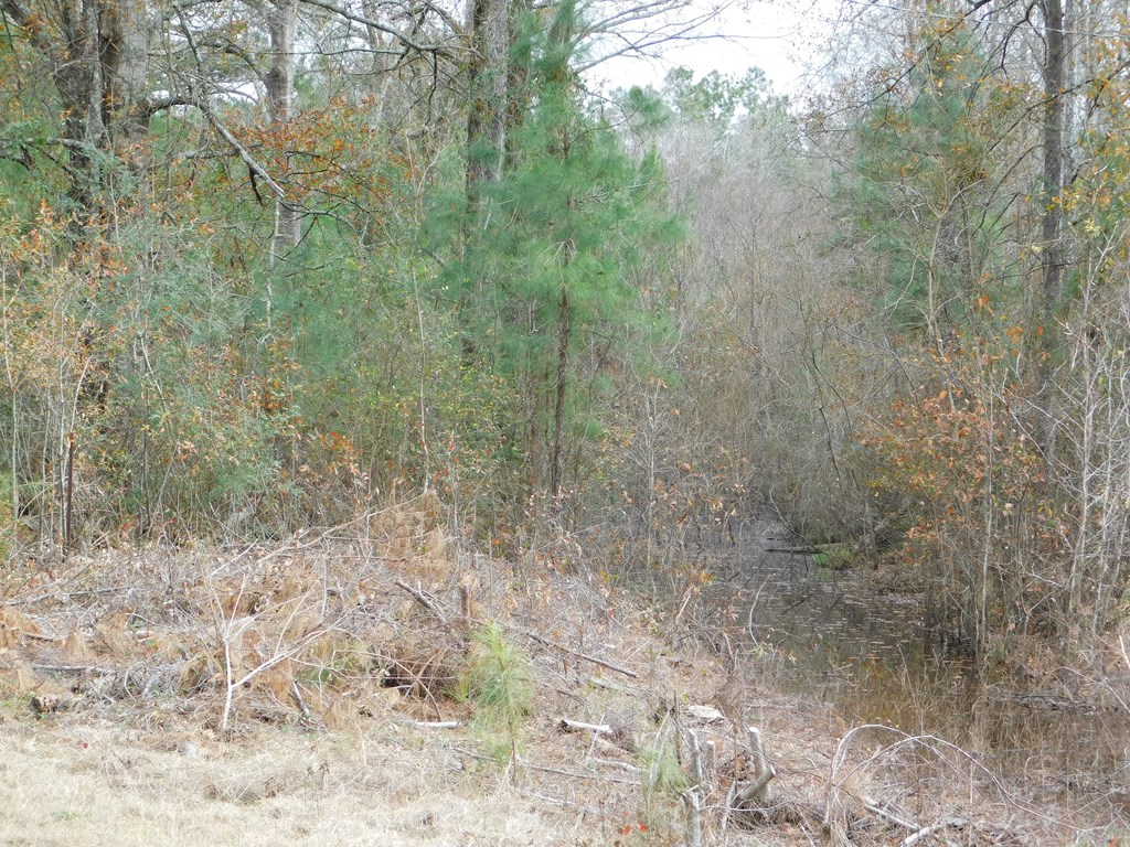 11270 Us Hwy 190 E Property Photo 7