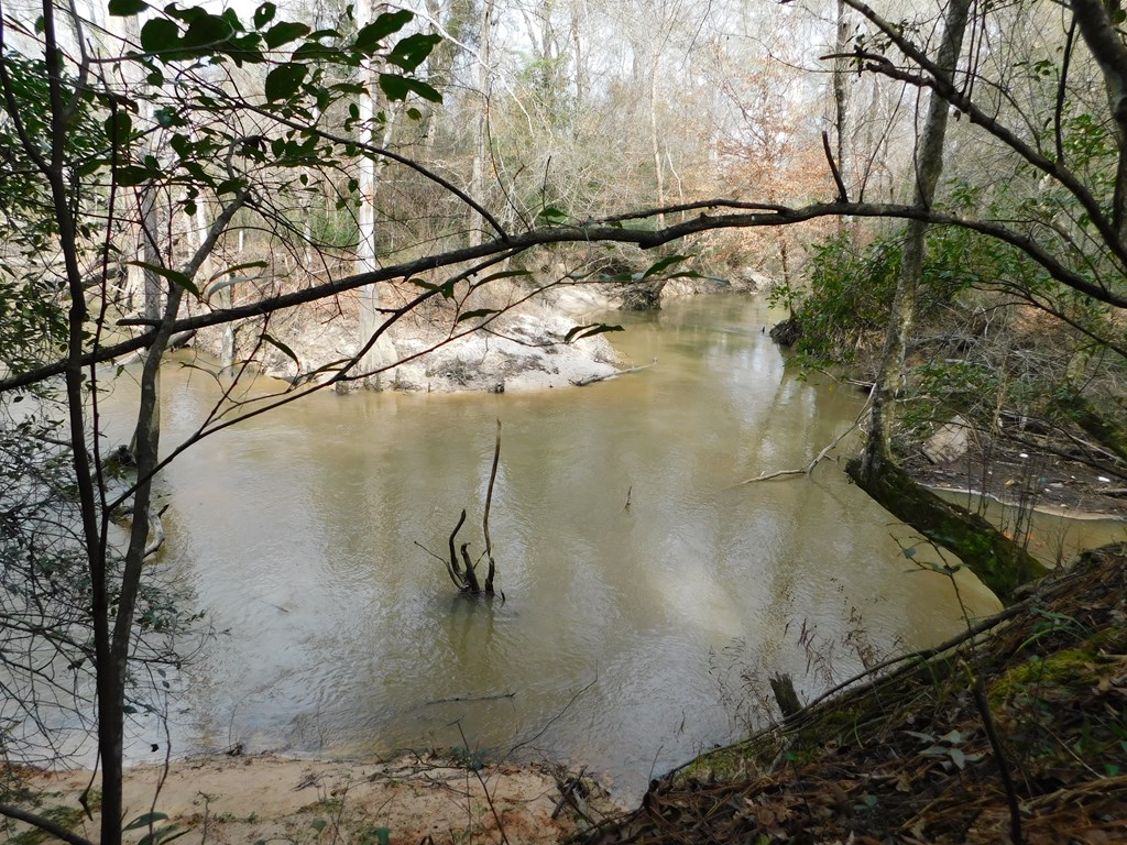 11270 Us Hwy 190 E Property Photo 10