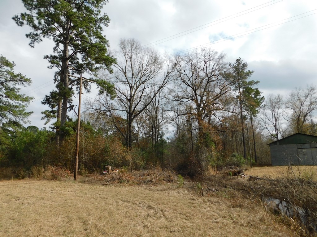 11270 Us Hwy 190 E Property Photo 11