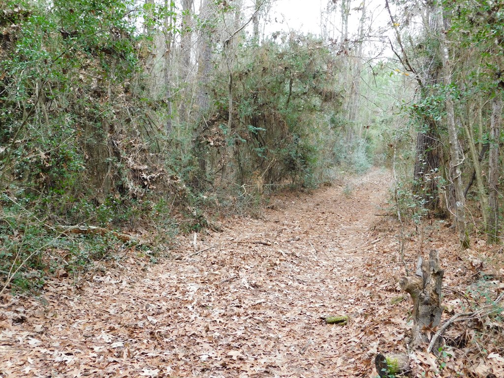 11270 Us Hwy 190 E Property Photo 13