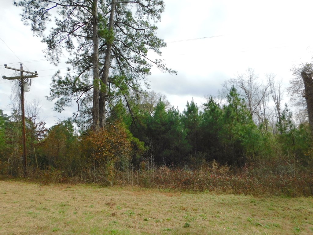 11270 Us Hwy 190 E Property Photo 14