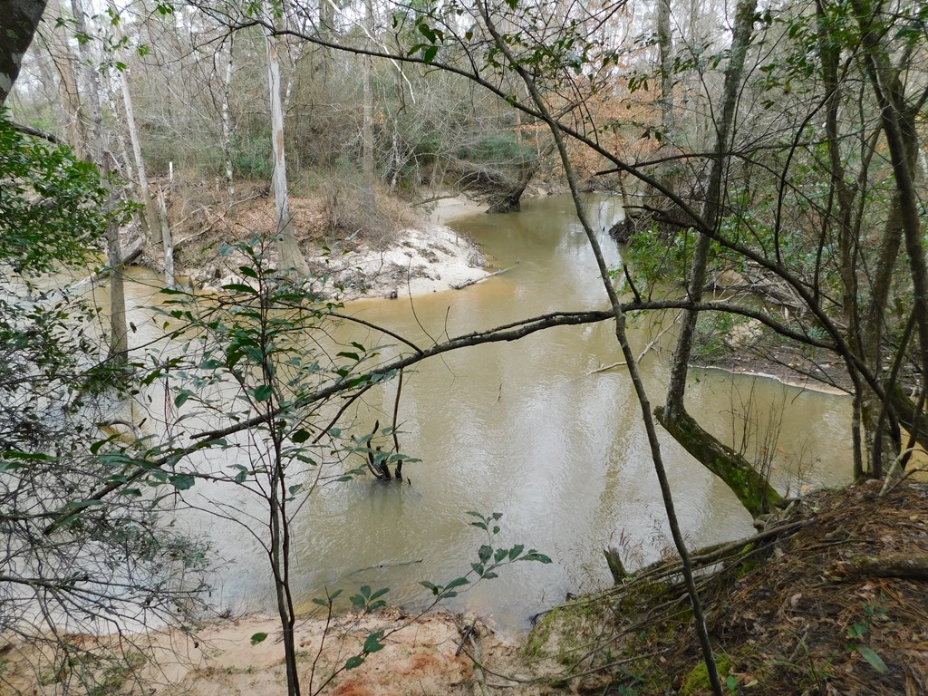 11270 Us Hwy 190 E Property Photo 15