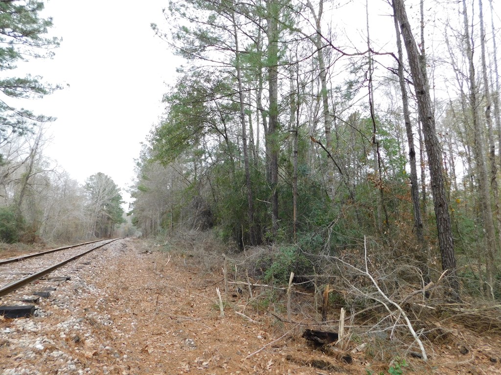 11270 Us Hwy 190 E Property Photo 17