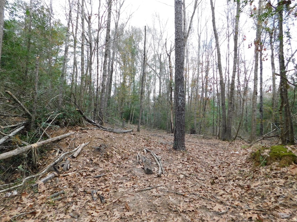 11270 Us Hwy 190 E Property Photo 19