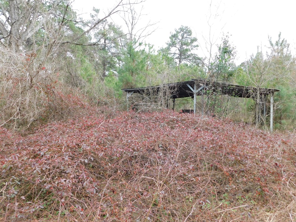 11270 Us Hwy 190 E Property Photo 25