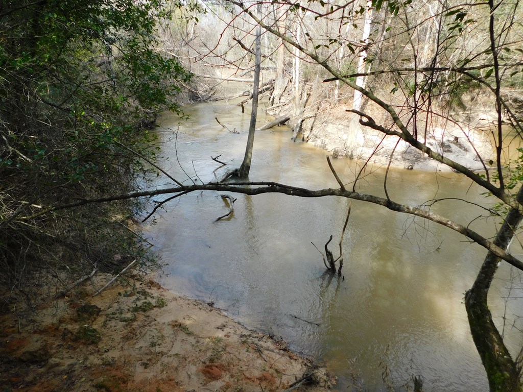 11270 Us Hwy 190 E Property Photo 27