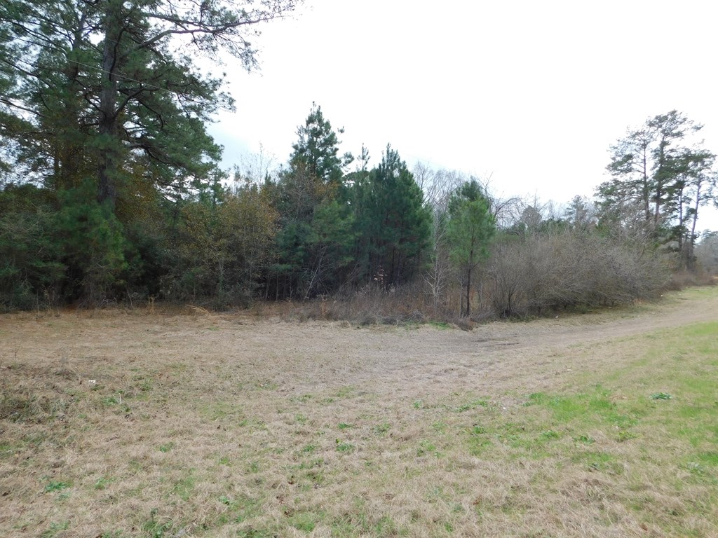 11270 Us Hwy 190 E Property Photo 28