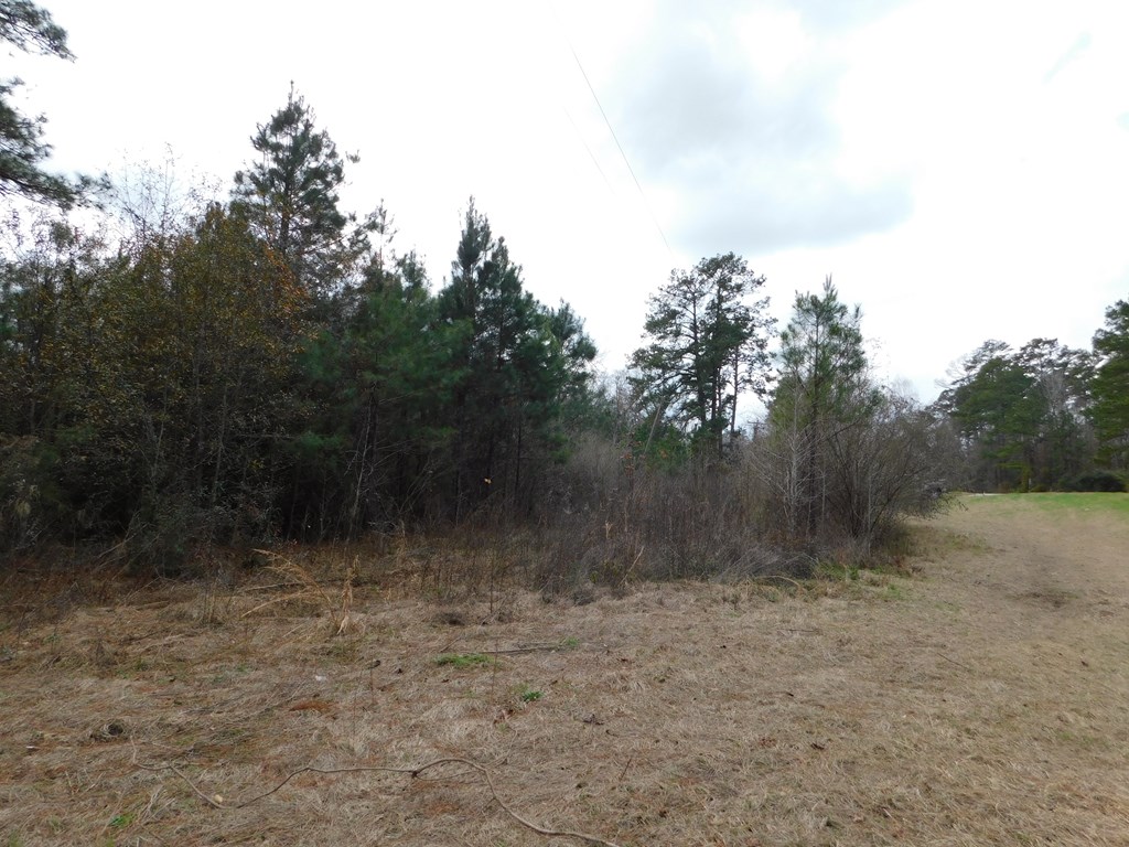 11270 Us Hwy 190 E Property Photo 29