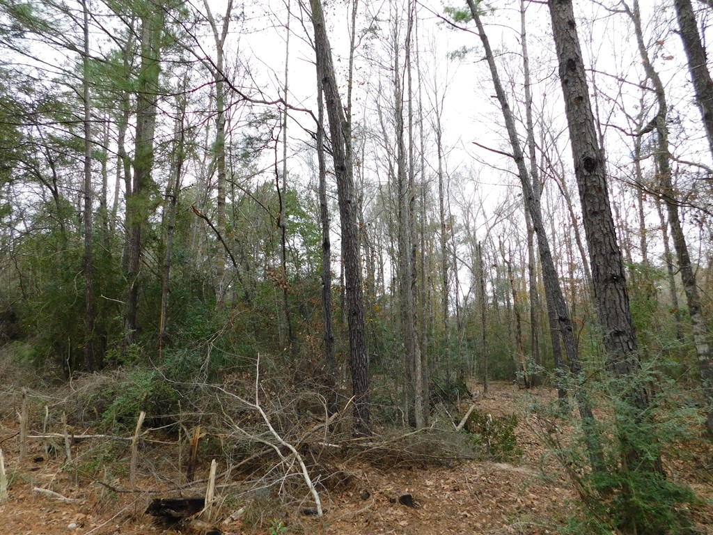 11270 Us Hwy 190 E Property Photo 30