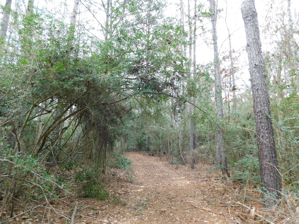 11270 Us Hwy 190 E Property Photo 32