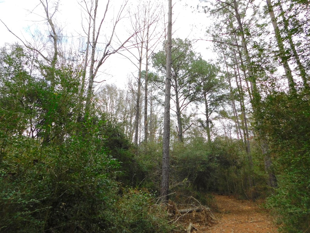 11270 Us Hwy 190 E Property Photo 33