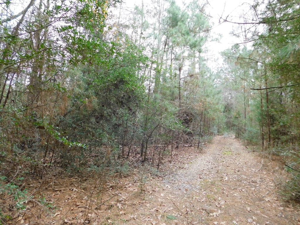 11270 Us Hwy 190 E Property Photo 34