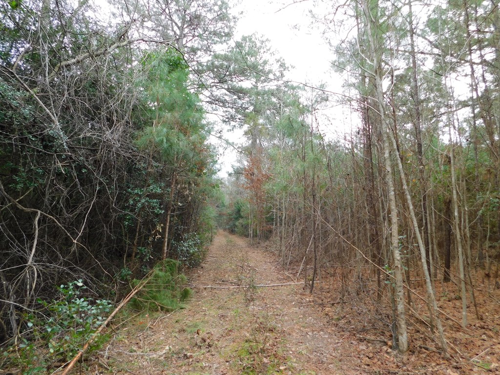 11270 Us Hwy 190 E Property Photo 37