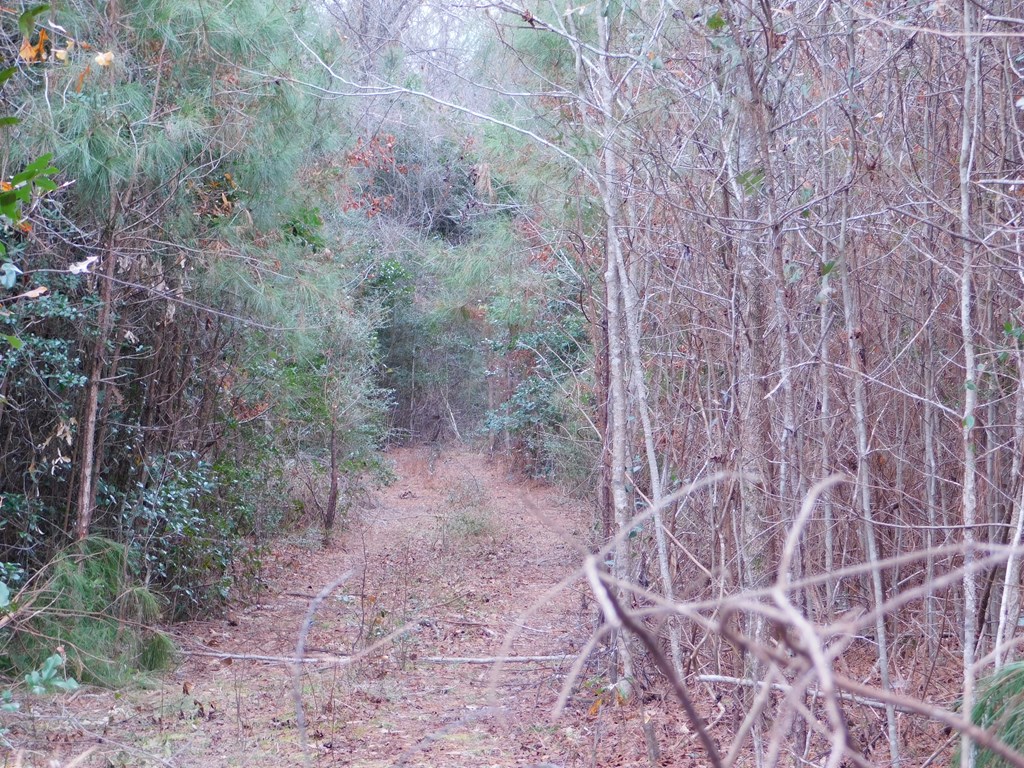 11270 Us Hwy 190 E Property Photo 39