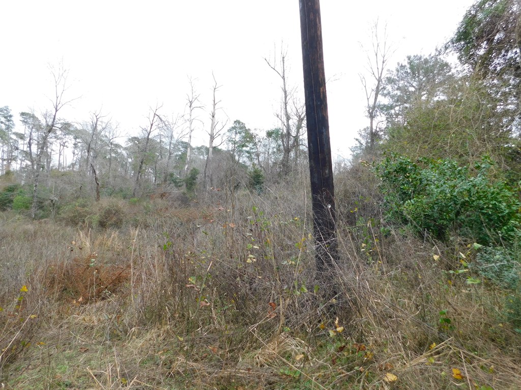 11270 Us Hwy 190 E Property Photo 40