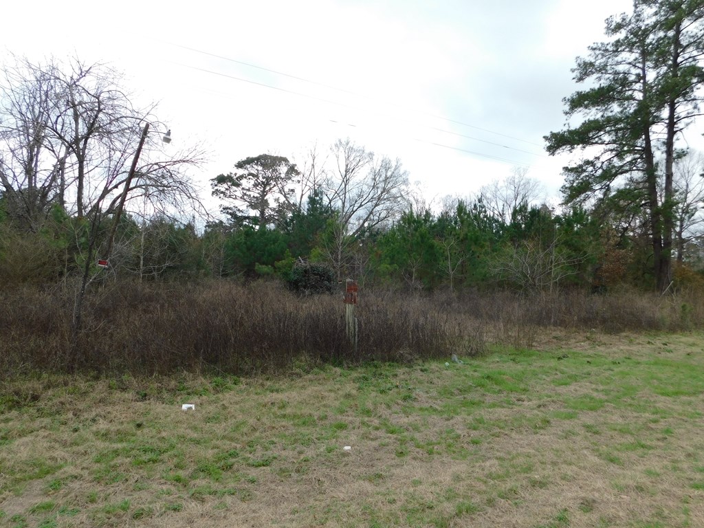 11270 Us Hwy 190 E Property Photo 43