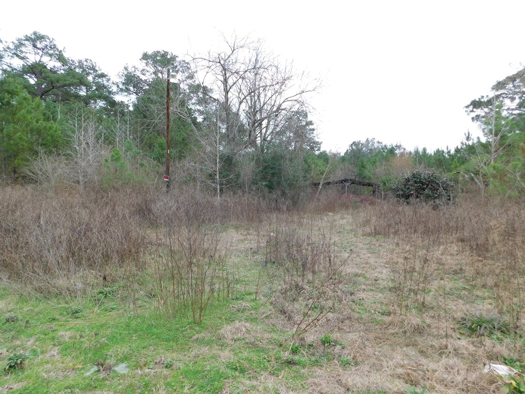 11270 Us Hwy 190 E Property Photo 44