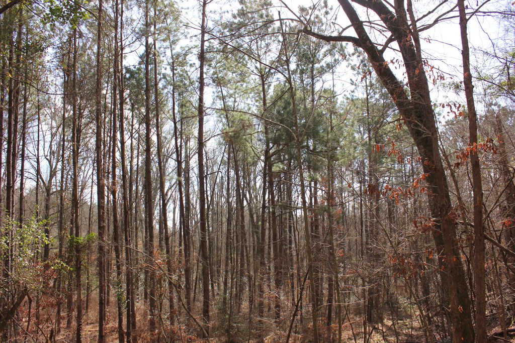 Pid 7331 Us Hwy 59 N Property Photo 11