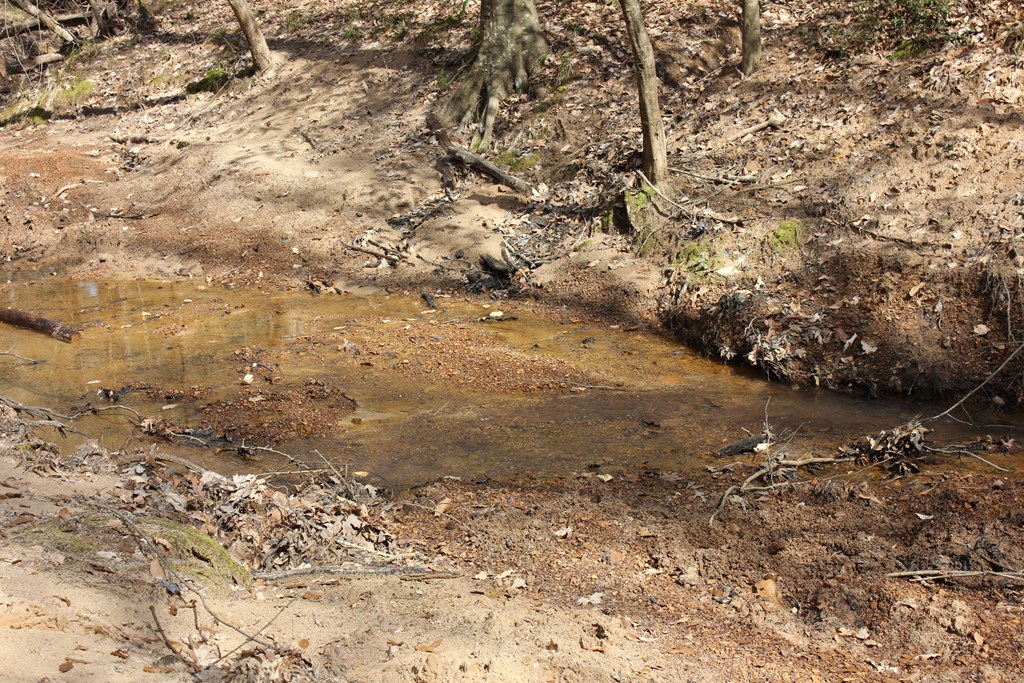 Pid 7331 Us Hwy 59 N Property Photo 13