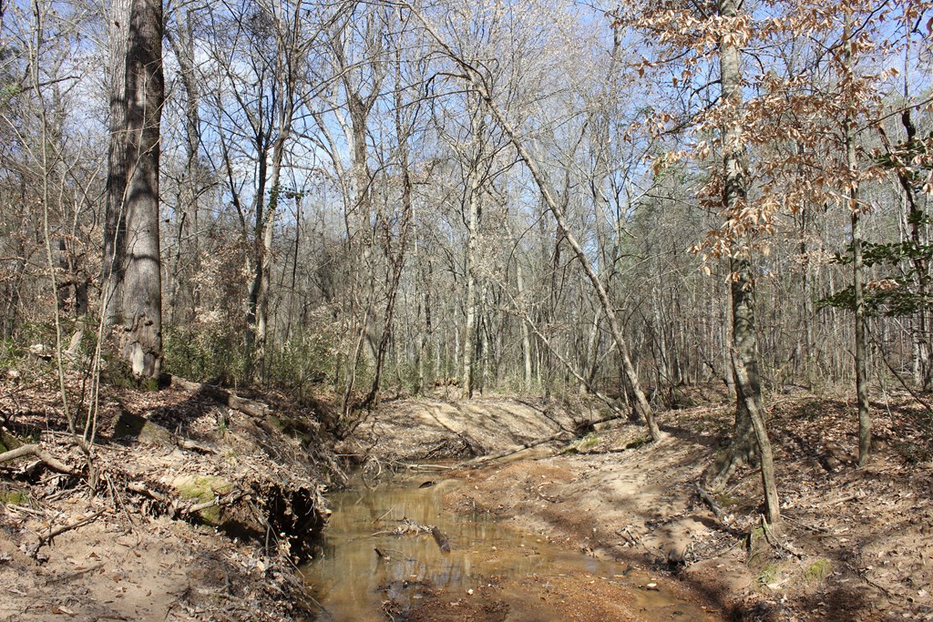 Pid 7331 Us Hwy 59 N Property Photo 14