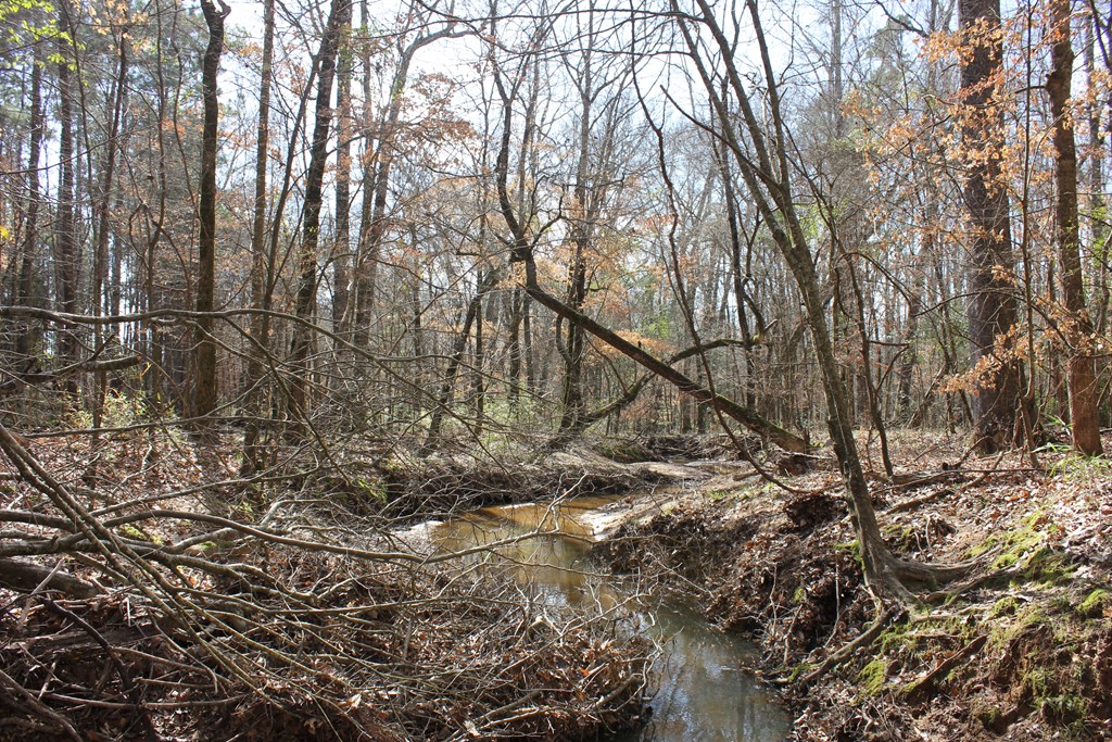Pid 7331 Us Hwy 59 N Property Photo 15