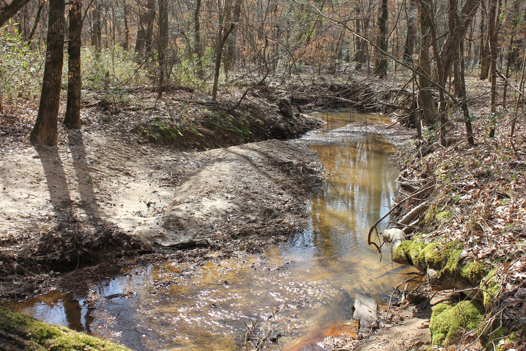 Pid 7331 Us Hwy 59 N Property Photo 16