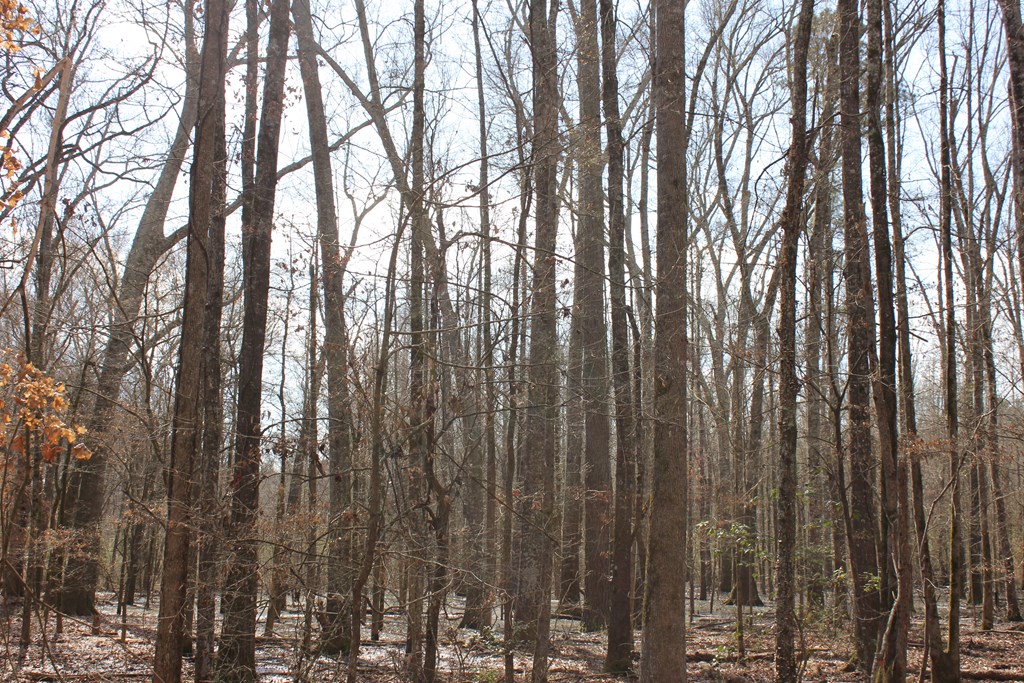 Pid 7331 Us Hwy 59 N Property Photo 17