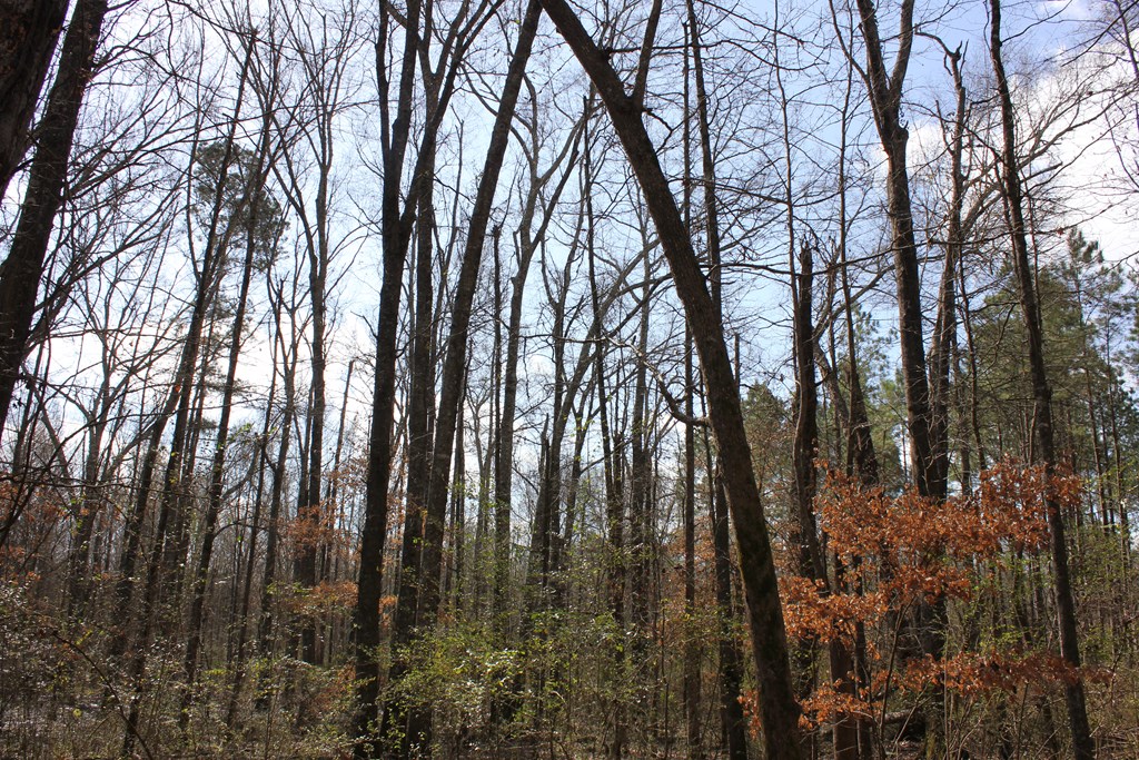 Pid 7331 Us Hwy 59 N Property Photo 19