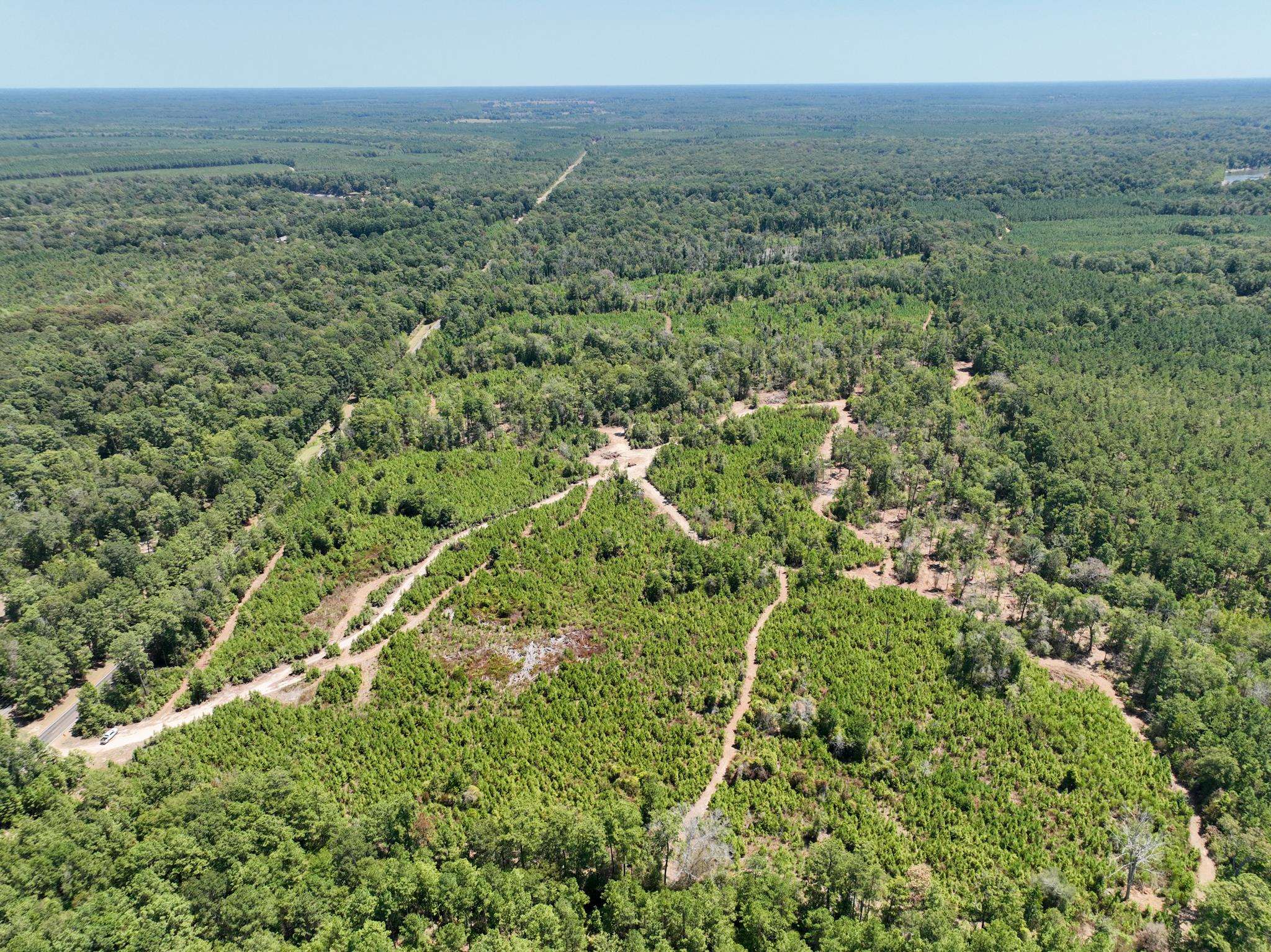 18485 Fm 1013 Property Photo 4