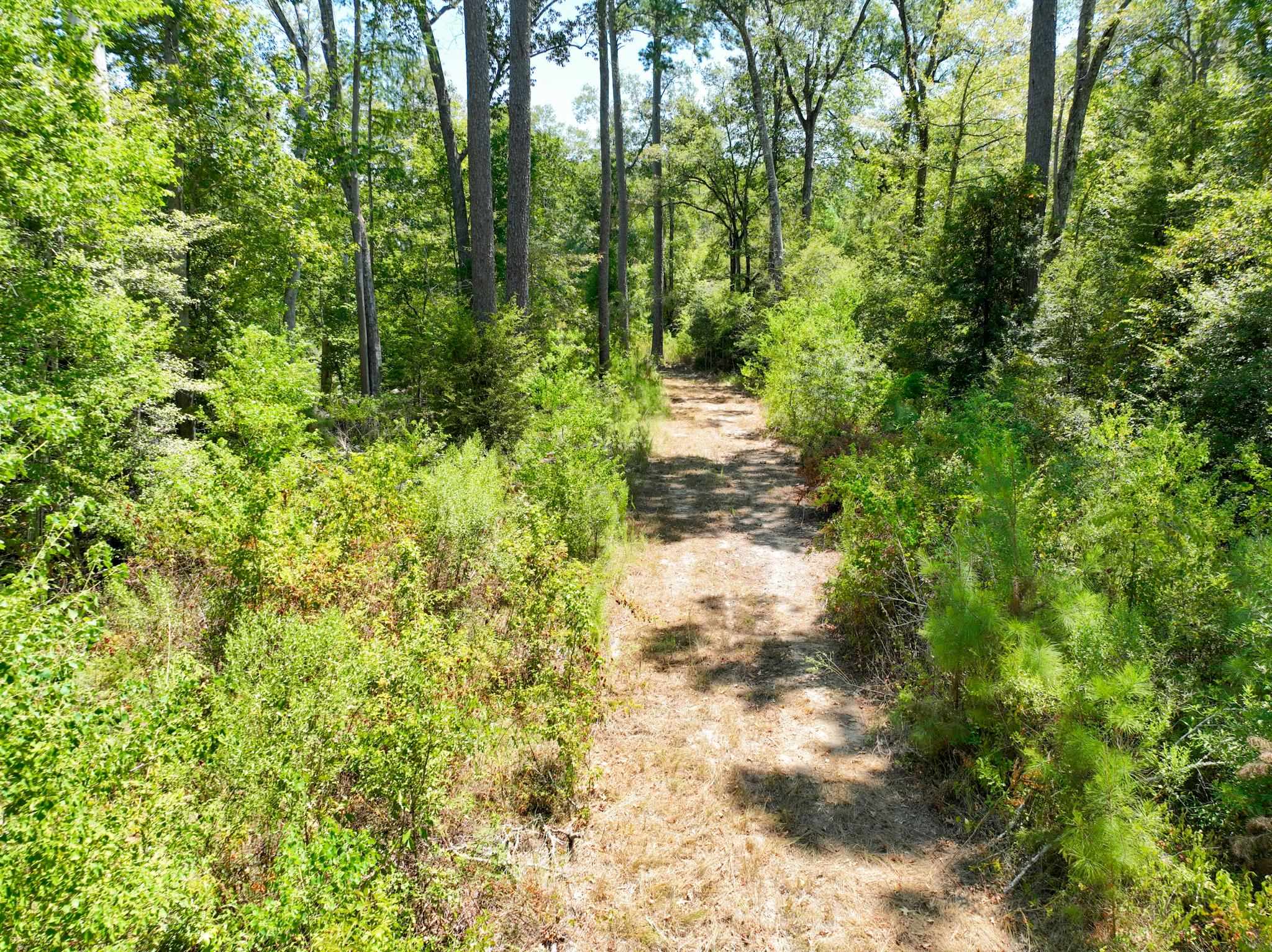 18485 Fm 1013 Property Photo 8