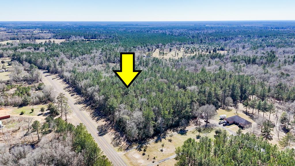 11209 County Road 509 Property Photo 1