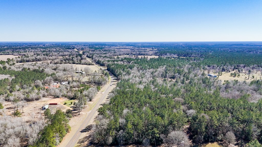 11209 County Road 509 Property Photo 15