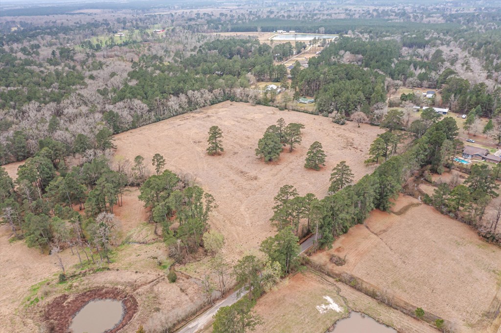 Lot 3a Fm 326 Property Photo 19