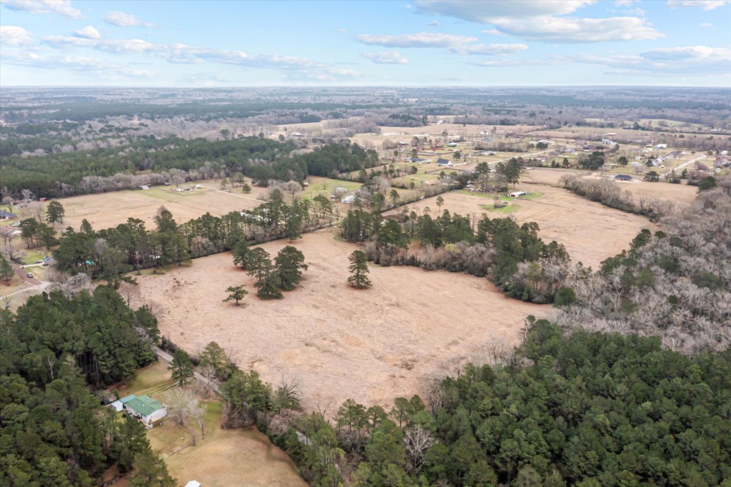 Lot 3a Fm 326 Property Photo 22