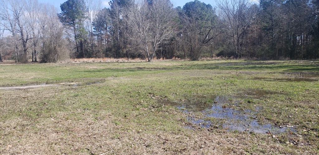 500 Arrington Road Property Photo 2